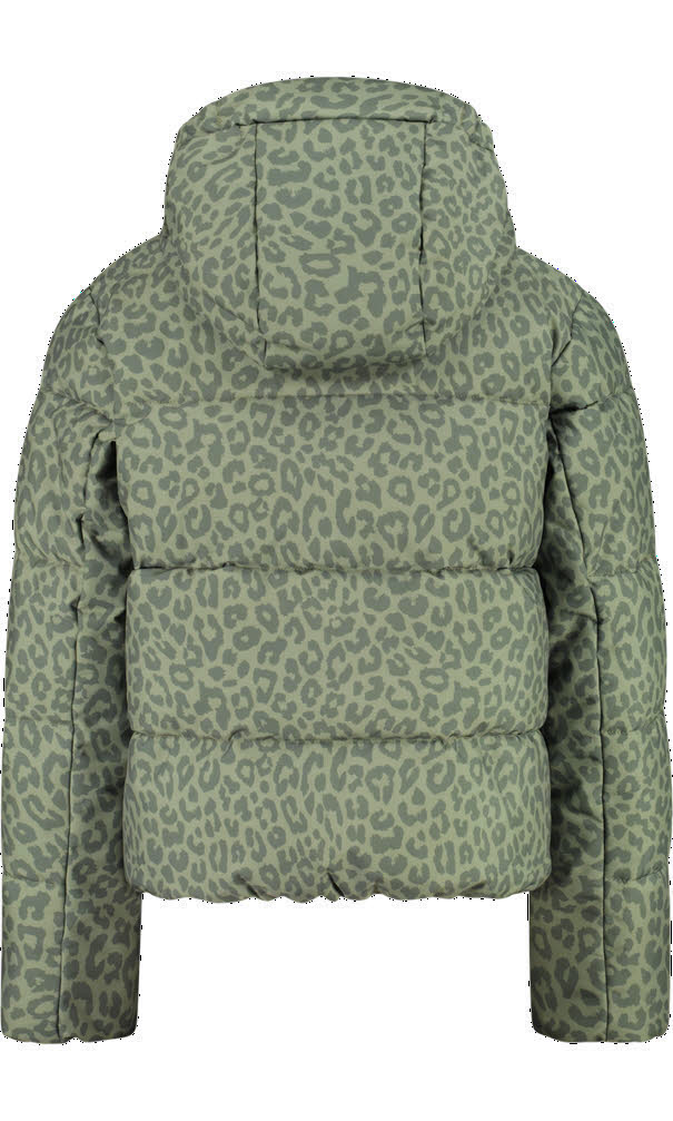 CAMPAGNOLO MÄ JACKET FIX HOOD Kinder Ski-/Snowboardjacke Mädchen green tea-salvia