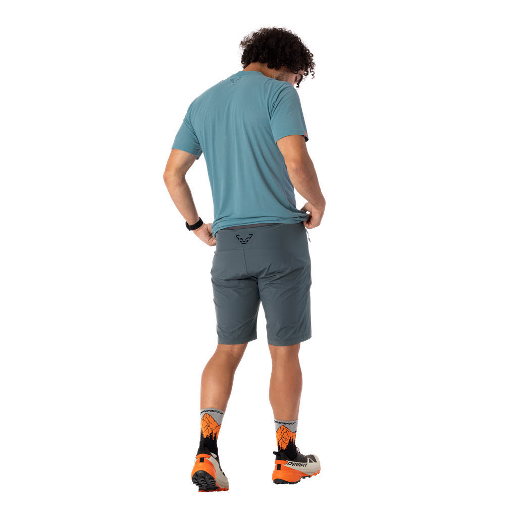 Dynafit Transalper 2 Light Dynastretch Herren Wandershorts Trekkingshorts grau