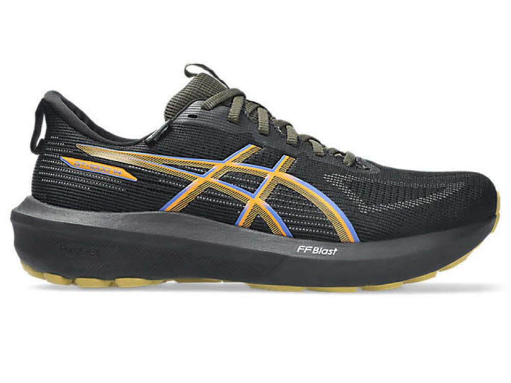 Asics GT-1000 14 GTX Herren Laufschuhe Joggingschuhe schwarz