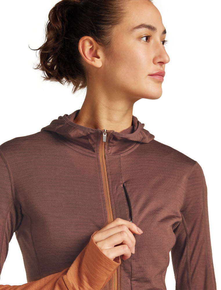 Icebreaker Merinomix 200 Realfleece™ Descender Zip-Hoodie Fleecejacke Damen braun