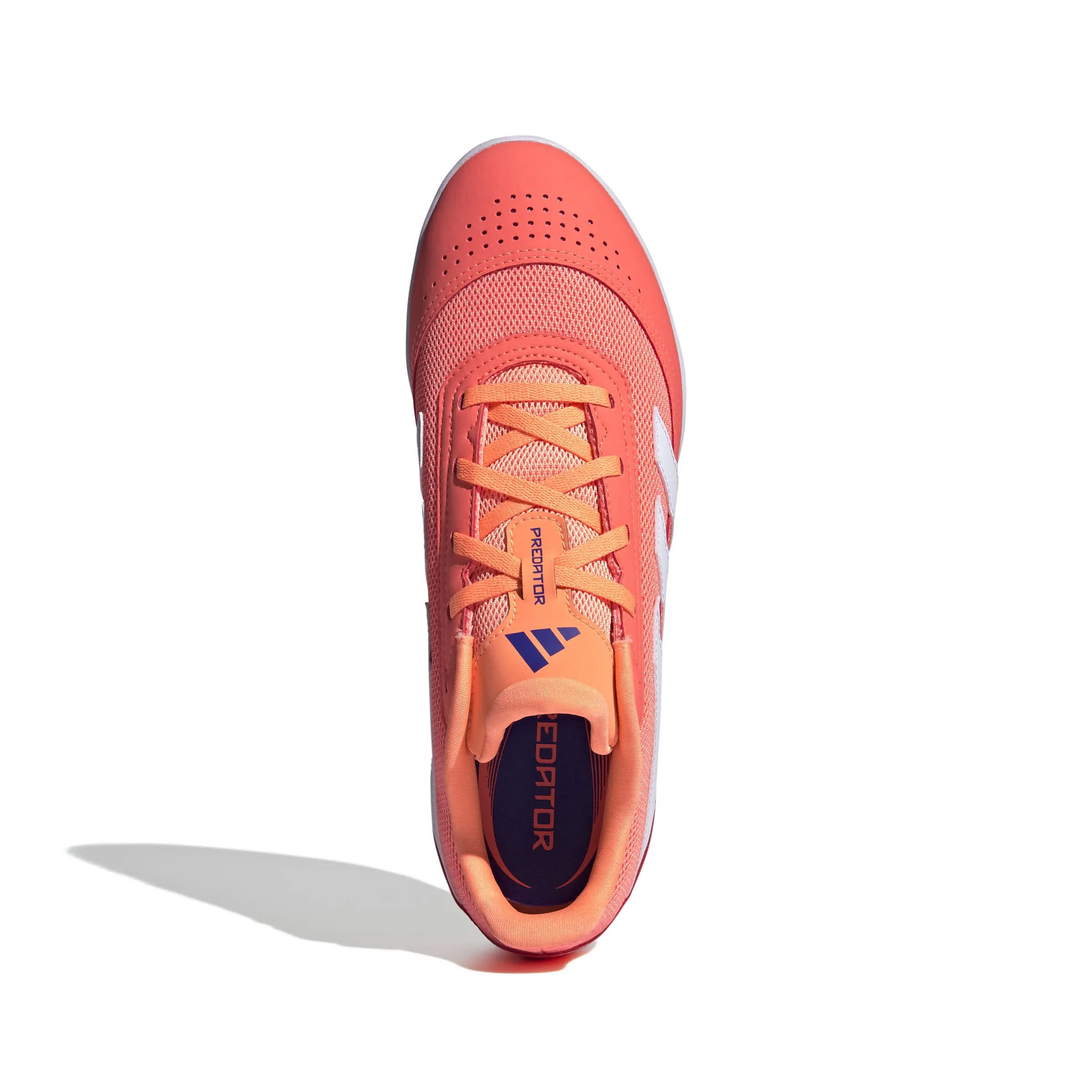 adidas PREDATOR CLUB IN SALA Unisex Hallenschuhe Fußballschuhe rot/weiß