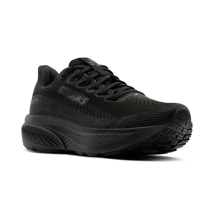 Brooks Ghost 17 GTX Laufschuh Damen Schwarz