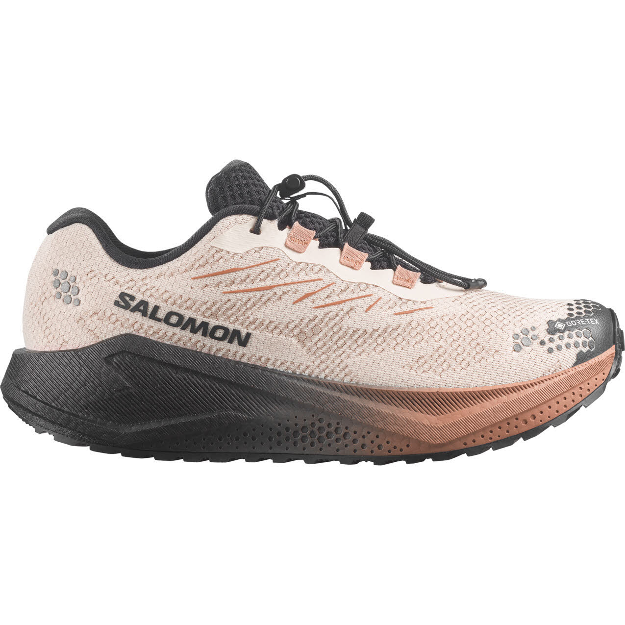 Salomon AERO BLAZE 4 GRVL GTX Damen Laufschuhe Joggingschuhe beige