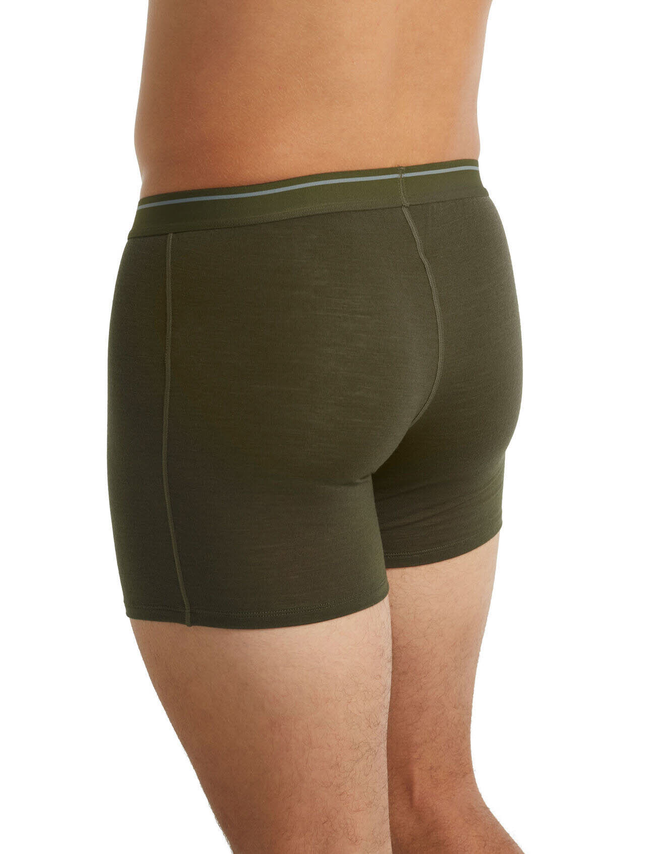Icebreaker Anatomica Boxers Unterhose kurz Merino Herren grün NEU