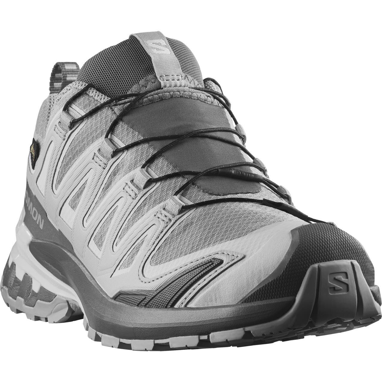 Salomon XA PRO 3D V9 GTX W Damen Laufschuhe Trailrunningschuhe grau
